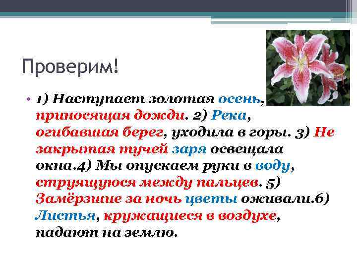 Проверим! • 1) Наступает золотая осень, приносящая дожди. 2) Река, огибавшая берег, уходила в