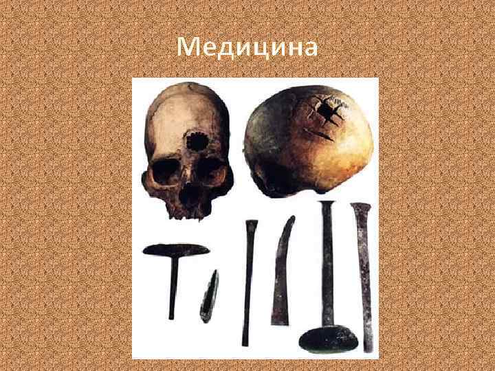 Медицина 