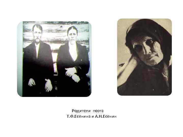 Родители поэта Т. Ф. Есенина и А. Н. Есенин 