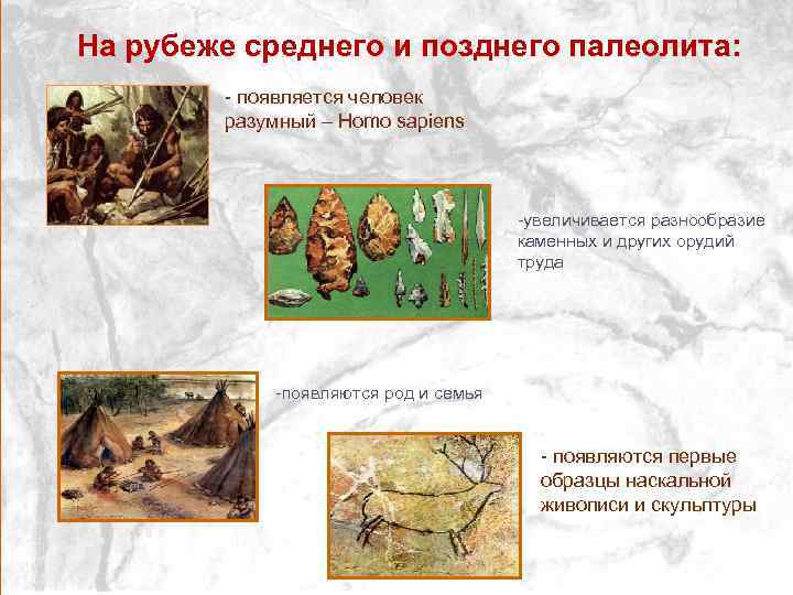 На рубеже среднего и позднего палеолита: - появляется человек разумный – Homo sapiens -увеличивается