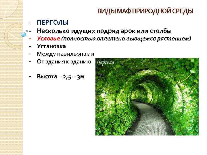 ВИДЫ МАФ ПРИРОДНОЙ СРЕДЫ - ПЕРГОЛЫ - Несколько идущих подряд арок или столбы -