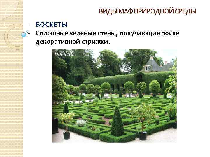 ВИДЫ МАФ ПРИРОДНОЙ СРЕДЫ - БОСКЕТЫ - Сплошные зеленые стены, получающие после декоративной стрижки.