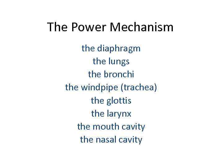 The Power Mechanism the diaphragm the lungs the bronchi the windpipe (trachea) the glottis