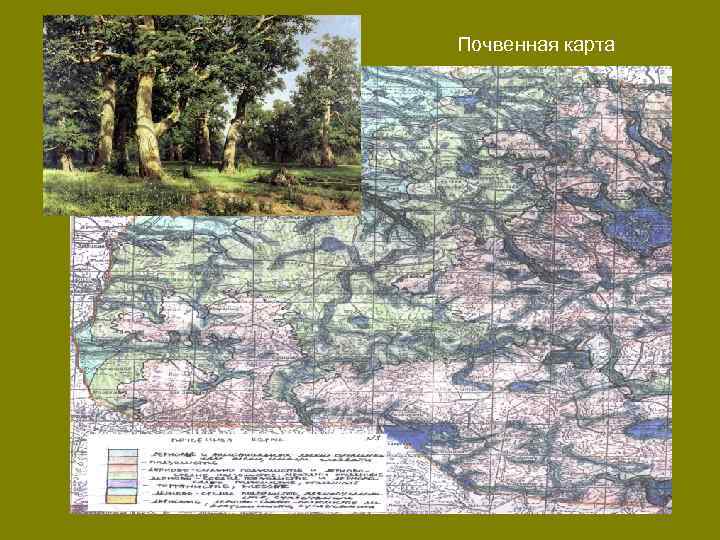 Почвенная карта 