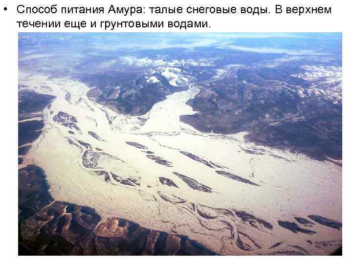  • Способ питания Амура: талые снеговые воды. В верхнем течении еще и грунтовыми