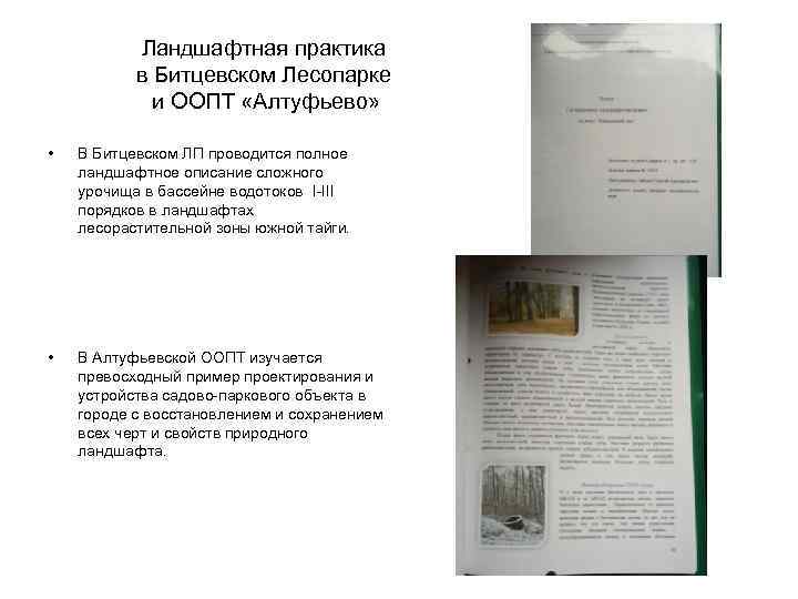 Ландшафтная практика в Битцевском Лесопарке и ООПТ «Алтуфьево» • В Битцевском ЛП проводится полное