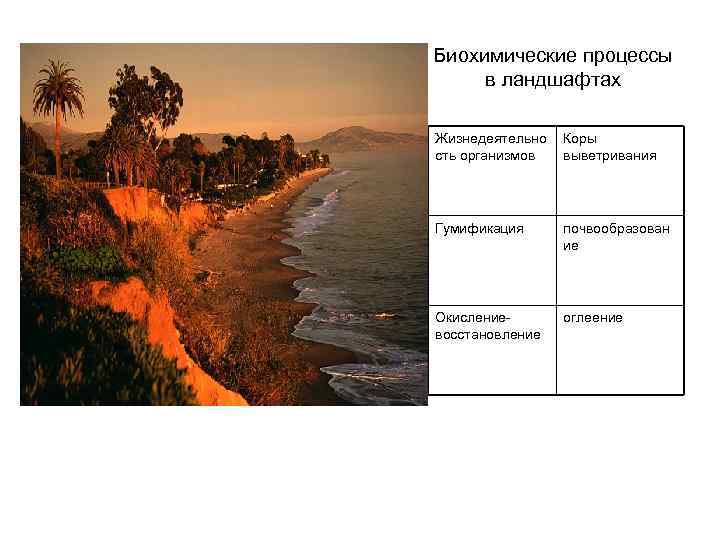 Биохимические процессы в ландшафтах Жизнедеятельно сть организмов Коры выветривания Гумификация почвообразован ие Окисление- восстановление