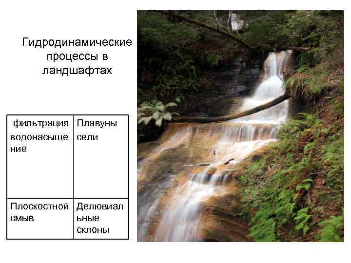 Гидродинамические процессы в ландшафтах фильтрация Плавуны водонасыще сели ние Плоскостной Делювиал смыв ьные склоны