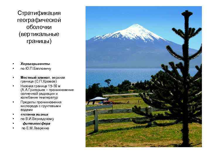 Стратификация географической оболочки (вертикальные границы) • • Хорогоризонты по Ю. П. Бялловичу • Местный
