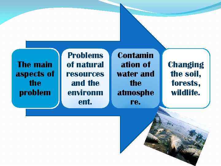 The main aspects of the problem Problems of natural resources and the environm ent.