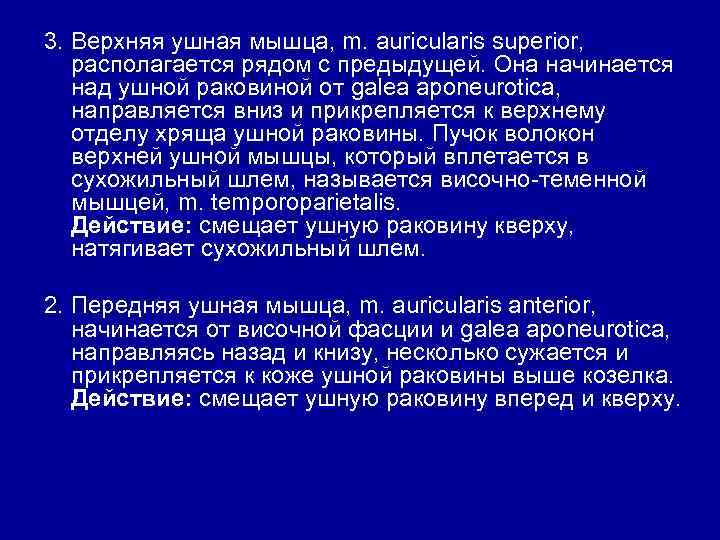 3. Верхняя ушная мышца, m. auricularis superior, располагается рядом с предыдущей. Она начинается над