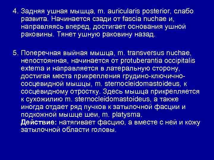 4. Задняя ушная мышца, m. auricularis posterior, слабо развита. Начинается сзади от fascia nuchae