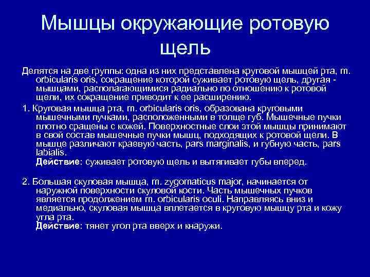 Мышцы окружающие ротовую щель Делятся на две группы: одна из них представлена круговой мышцей