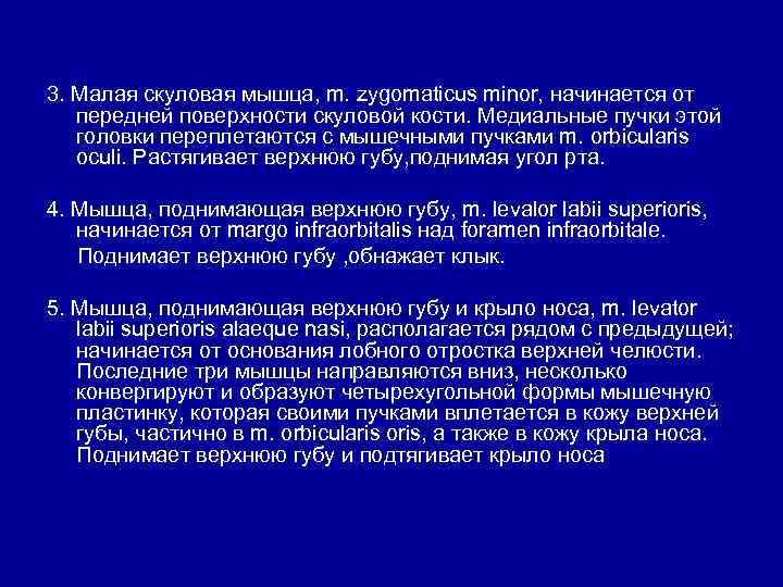 3. Малая скуловая мышца, m. zygomaticus minor, начинается от передней поверхности скуловой кости. Медиальные
