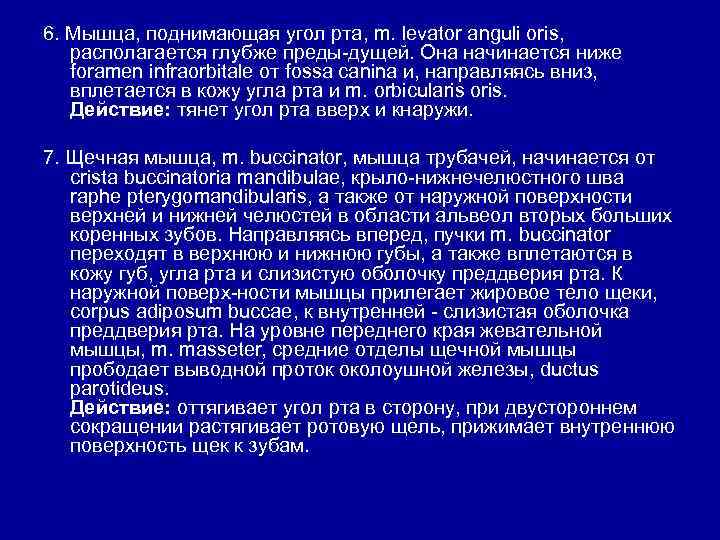 6. Мышца, поднимающая угол рта, m. levator anguli oris, располагается глубже преды-дущей. Она начинается