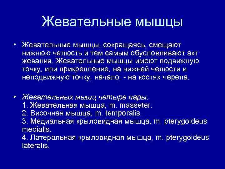 Жевательные мышцы • Жевательные мышцы, сокращаясь, смещают нижнюю челюсть и тем самым обусловливают акт