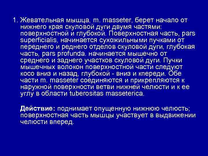 1. Жевательная мышца, m. masseter, берет начало от нижнего края скуловой дуги двумя частями:
