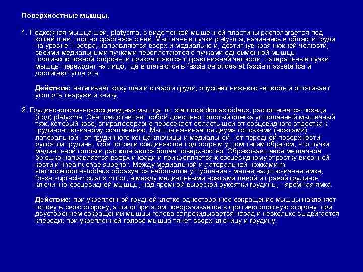 Поверхностные мышцы. 1. Подкожная мышца шеи, platysma, в виде тонкой мышечной пластины располагается под