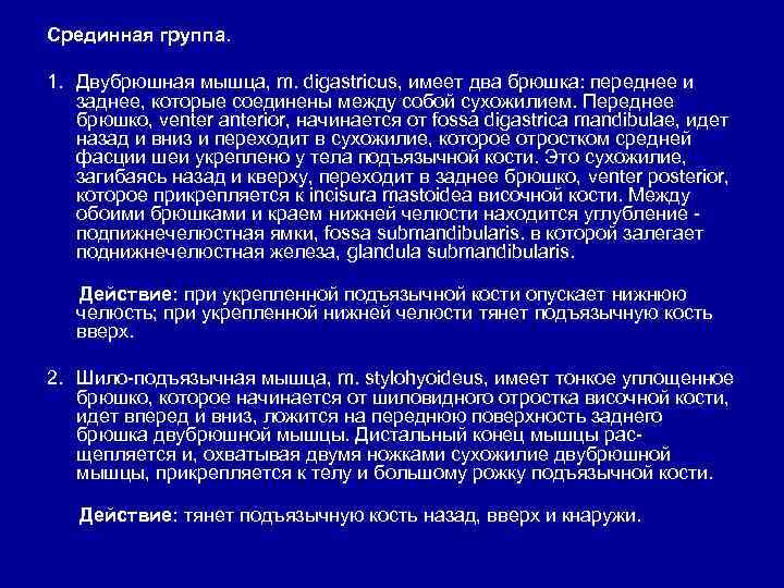Срединная группа. 1. Двубрюшная мышца, m. digastricus, имеет два брюшка: переднее и заднее, которые