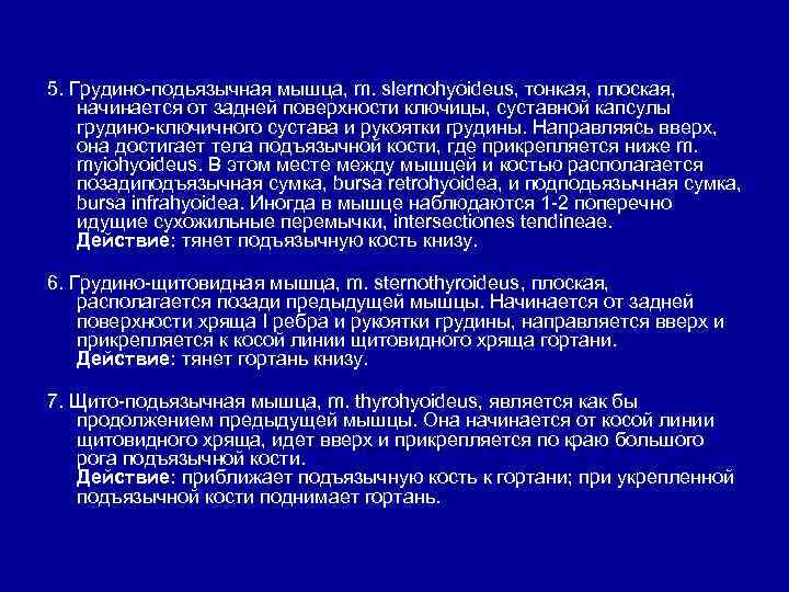 5. Грудино-подьязычная мышца, m. slernohyoideus, тонкая, плоская, начинается от задней поверхности ключицы, суставной капсулы