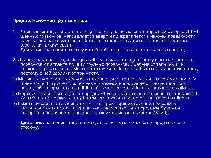 Предпозвоночная группа мышц. 1. Длинная мышца головы, m. longus capitis, начинается от передних бугорков