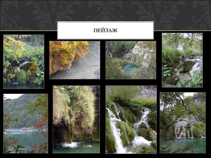 ПЕЙЗАЖ 