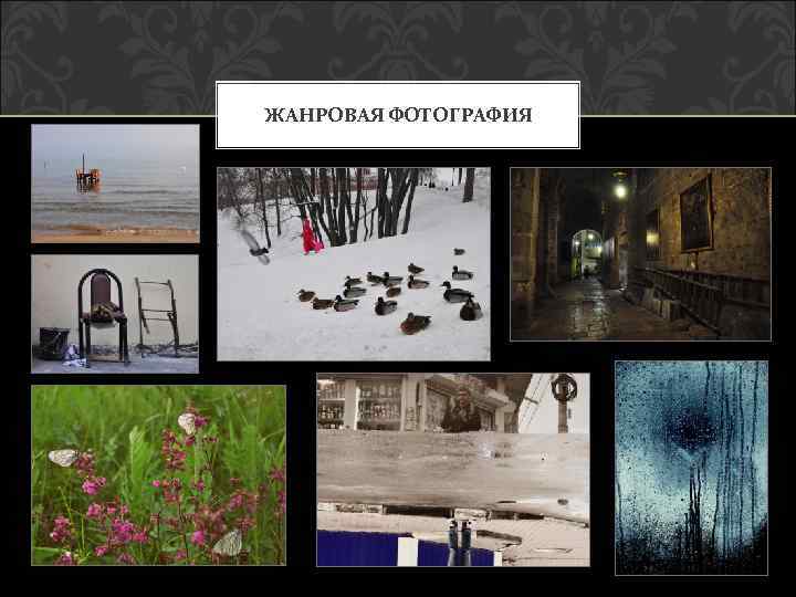 ЖАНРОВАЯ ФОТОГРАФИЯ 