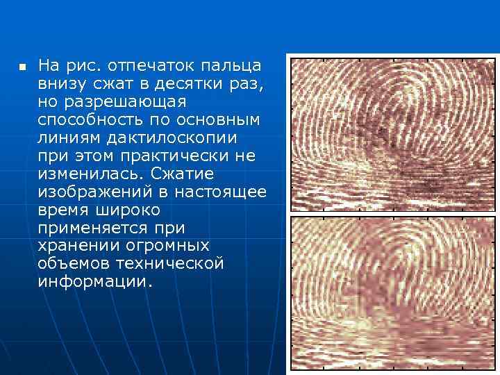 n На рис. отпечаток пальца внизу сжат в десятки раз, но разрешающая способность по