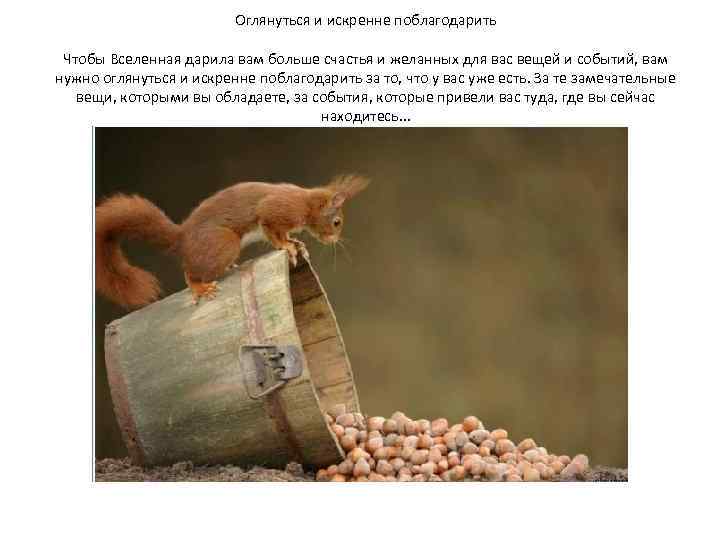 Оглянуться и искренне поблагодарить Чтобы Вселенная дарила вам больше счастья и желанных для вас