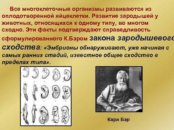 Все многоклеточные организмы развиваются из оплодотворенной яйцеклетки. Развитие зародышей у животных, относящихся к одному