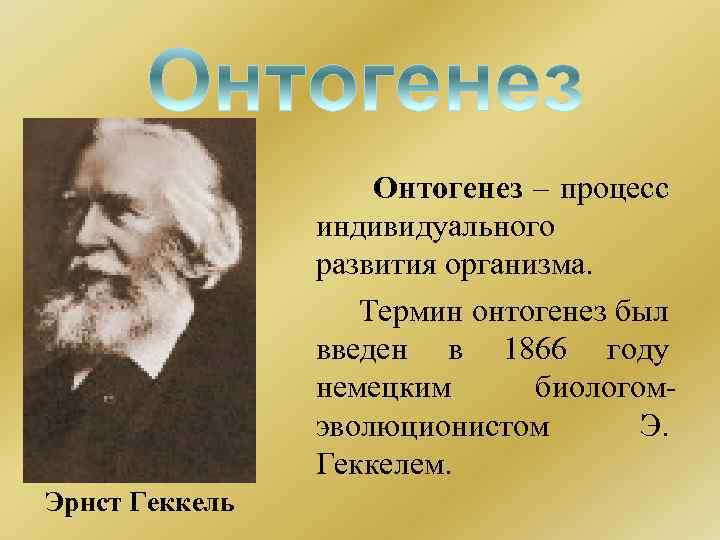 Онтогенез – процесс индивидуального развития организма. Термин онтогенез был введен в 1866 году немецким