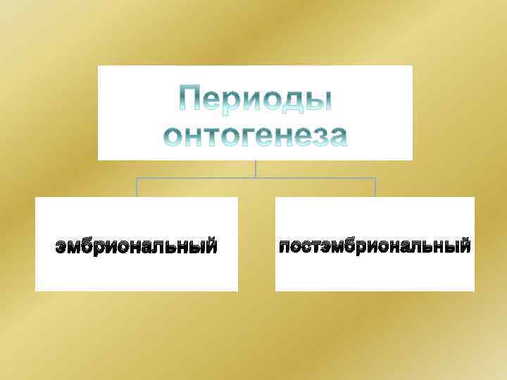 эмбриональный постэмбриональный 