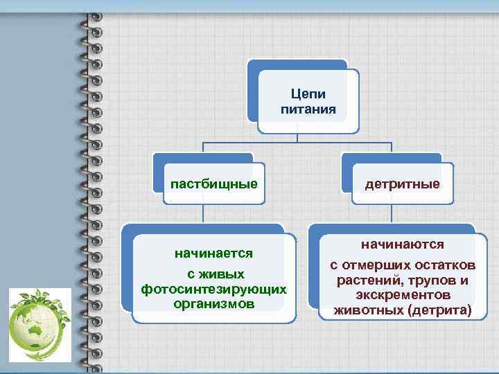Цепи питания пастбищные детритные начинается с живых фотосинтезирующих организмов начинаются с отмерших остатков растений,