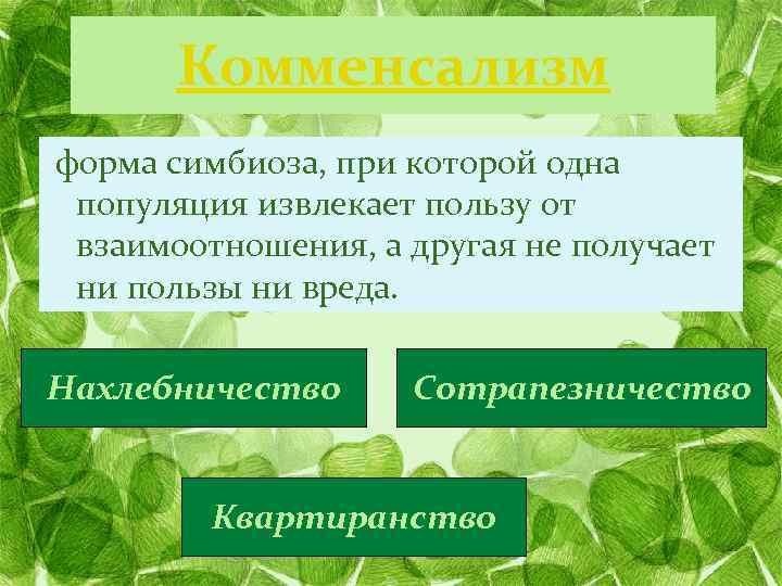 Комменсализм форма симбиоза, при которой одна популяция извлекает пользу от взаимоотношения, а другая не