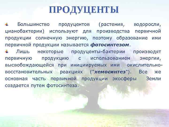 ПРОДУЦЕНТЫ Большинство продуцентов (растения, водоросли, цианобактерии) используют для производства первичной продукции солнечную энергию, поэтому