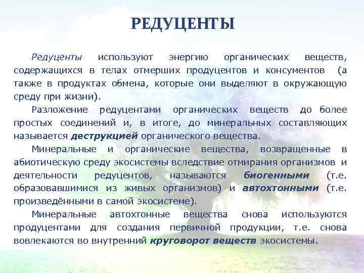 РЕДУЦЕНТЫ Редуценты используют энергию органических веществ, содержащихся в телах отмерших продуцентов и консументов (а