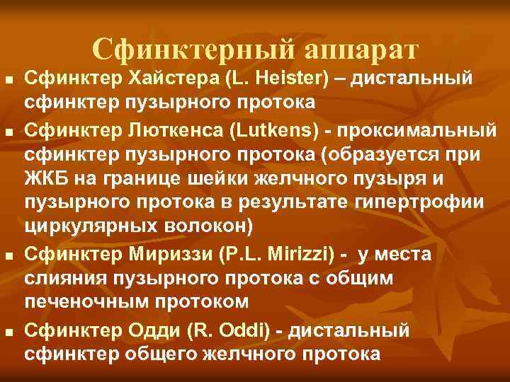 Сфинктерный аппарат n n Сфинктер Хайстера (L. Heister) – дистальный сфинктер пузырного протока Сфинктер