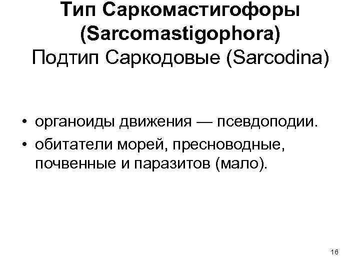 Тип Саркомастигофоры (Sarcomastigophora) Подтип Саркодовые (Sarcodina) • органоиды движения — псевдоподии. • обитатели морей,