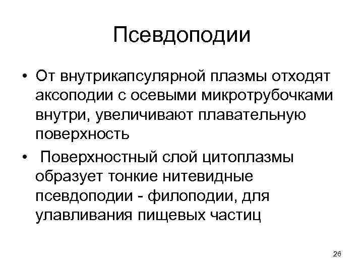 Псевдоподии • От внутрикапсулярной плазмы отходят аксоподии с осевыми микротрубочками внутри, увеличивают плавательную поверхность