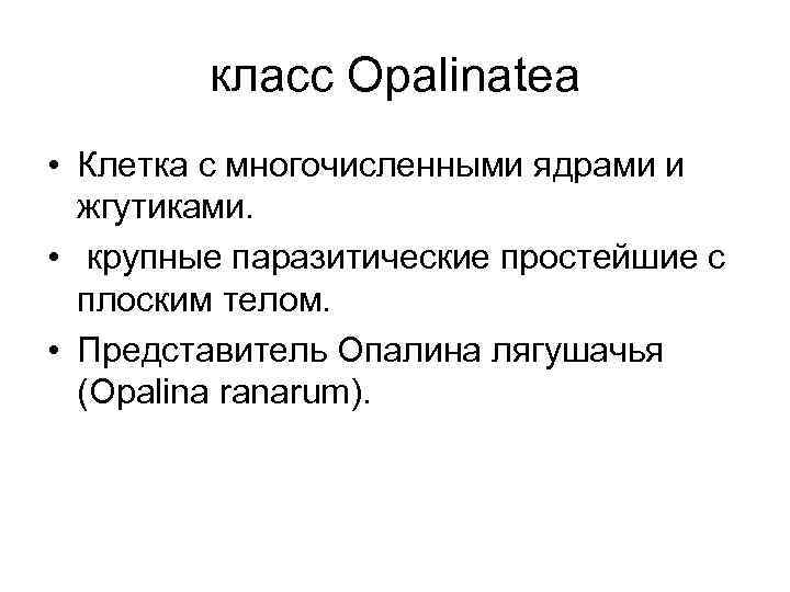 класс Opalinatea • Клетка с многочисленными ядрами и жгутиками. • крупные паразитические простейшие с