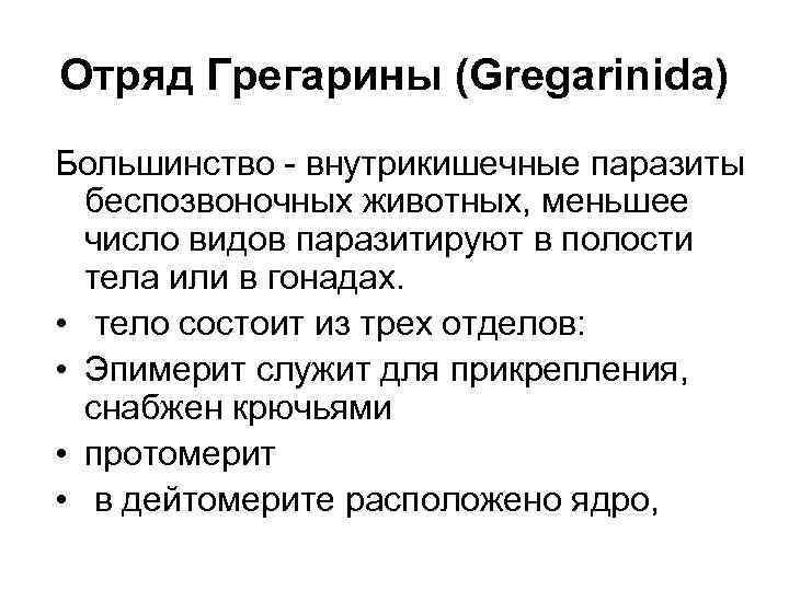 Отряд Грегарины (Gregarinida) Большинство - внутрикишечные паразиты беспозвоночных животных, меньшее число видов паразитируют в