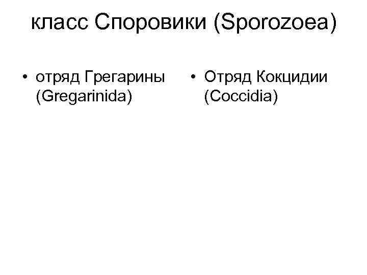 класс Споровики (Sporozoea) • отряд Грегарины (Gregarinida) • Отряд Кокцидии (Coccidia) 