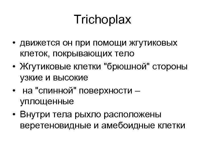 Trichoplax • движется он при помощи жгутиковых клеток, покрывающих тело • Жгутиковые клетки 