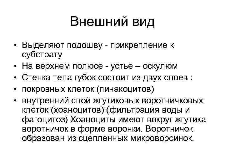 Внешний вид • Выделяют подошву - прикрепление к субстрату • На верхнем полюсе -