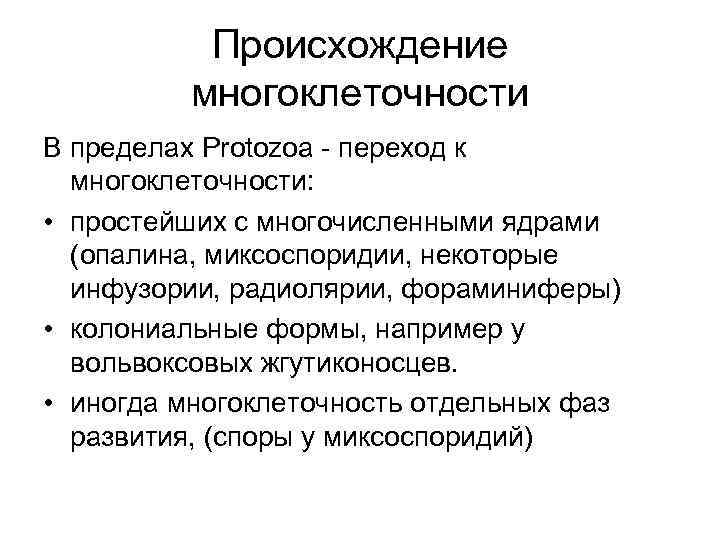 Происхождение многоклеточности В пределах Protozoa - переход к многоклеточности: • простейших с многочисленными ядрами