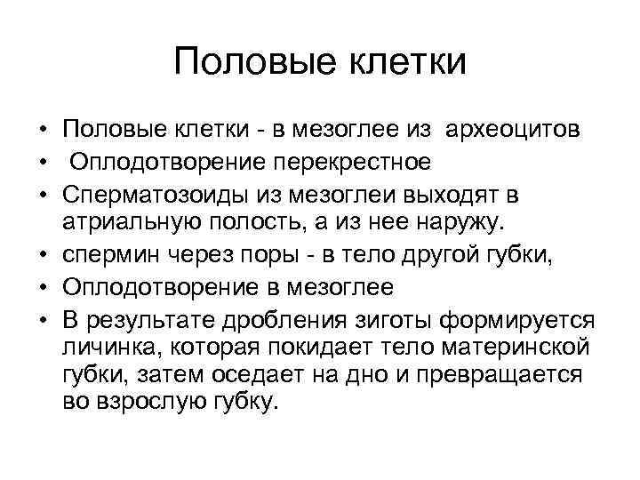 Половые клетки • Половые клетки - в мезоглее из археоцитов • Оплодотворение перекрестное •