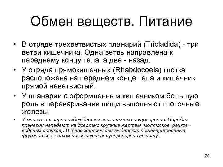 Обмен веществ. Питание • В отряде трехветвистых планарий (Tricladida) - три ветви кишечника. Одна
