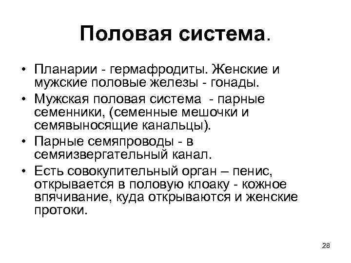 Половая система. • Планарии - гермафродиты. Женские и мужские половые железы - гонады. •