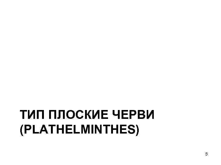 ТИП ПЛОСКИЕ ЧЕРВИ (PLATHELMINTHES) 5 