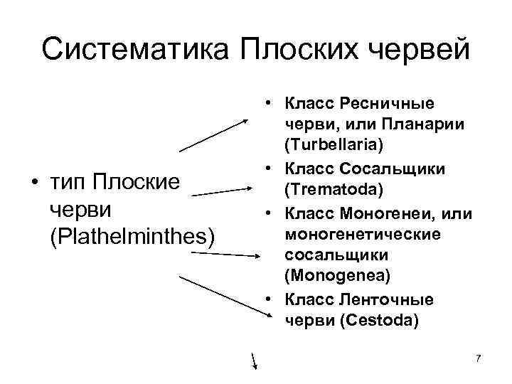 Систематика Плоских червей • тип Плоские черви (Plathelminthes) • Класс Ресничные черви, или Планарии